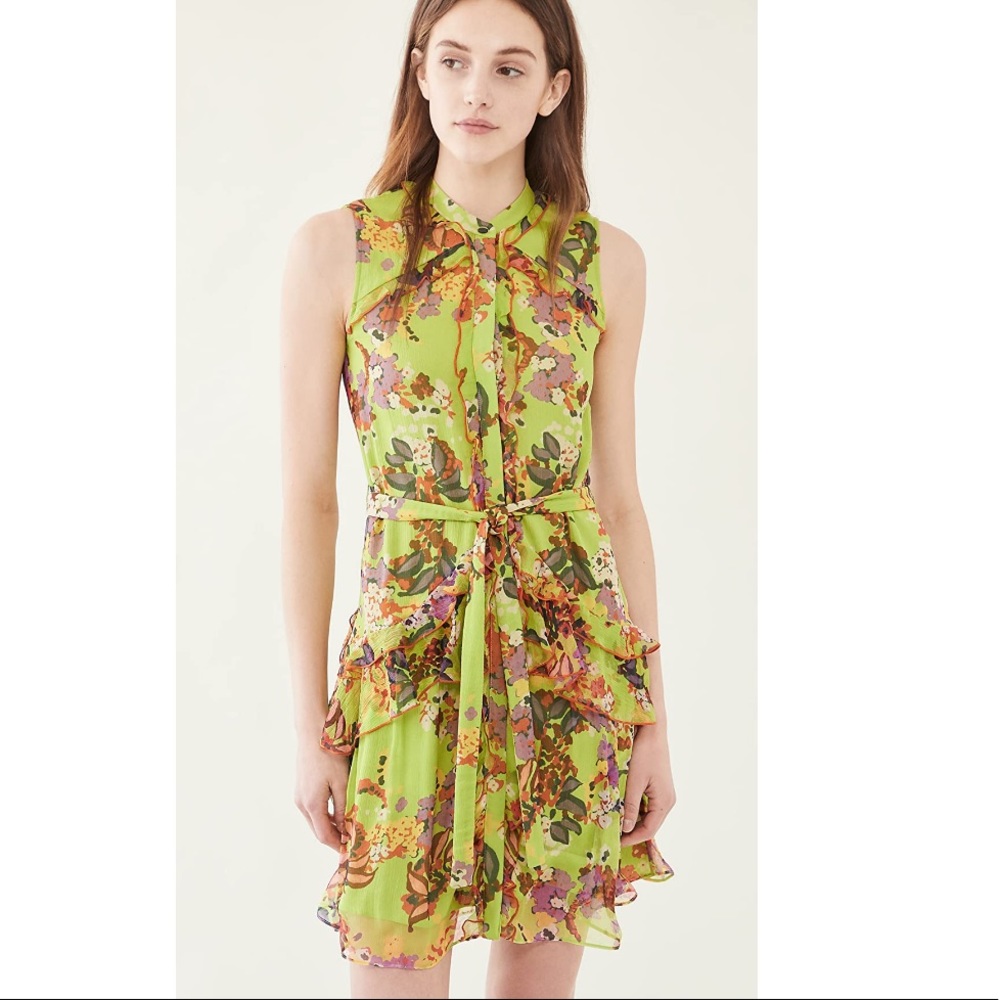 Saloni Tilly Ruffle-B Dress